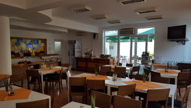 Complex Paloma Coral