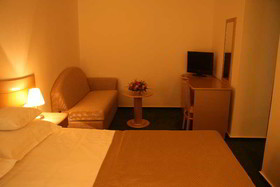 Hotel Bran Brad Bega