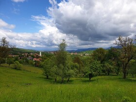Pensiunea Padina