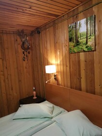 Cabana Fantanita Cu Brazi