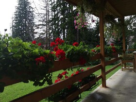 Cabana Fantanita Cu Brazi