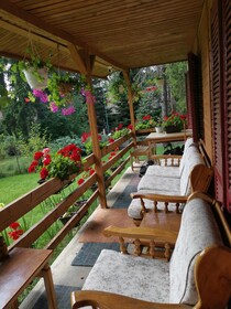 Cabana Fantanita Cu Brazi