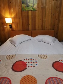 Cabana Fantanita Cu Brazi