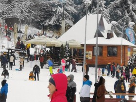 Cabana Fantanita Cu Brazi