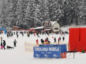 Cabana Fantanita Cu Brazi