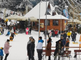 Cabana Fantanita Cu Brazi