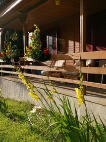 Cabana Fantanita Cu Brazi
