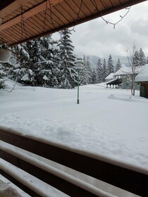 Cabana Fantanita Cu Brazi