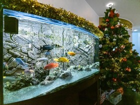 Atrium Collection Hotel Predeal