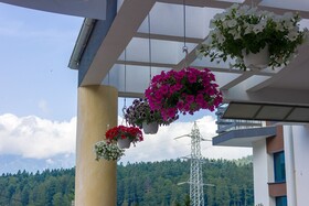 Atrium Collection Hotel Predeal