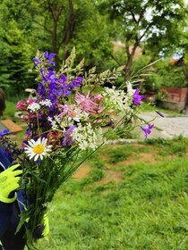 Soho Lodge Rasnov