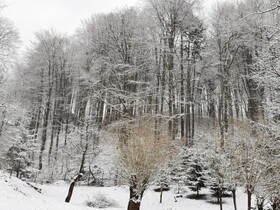 Soho Lodge Rasnov