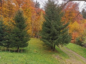 Soho Lodge Rasnov