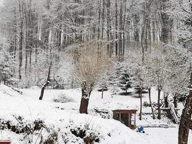 Soho Lodge Rasnov