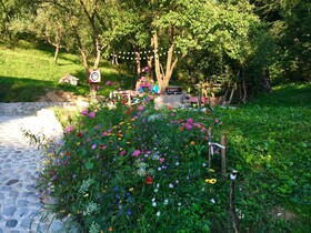 Soho Lodge Rasnov