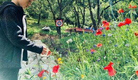 Soho Lodge Rasnov