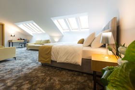 Boutique Hotel Museum