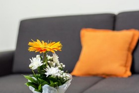 Bridge Apart Belgrade