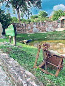 Serbian Folk Resort Rashaville