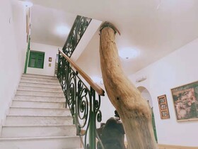 Serbian Folk Resort Rashaville