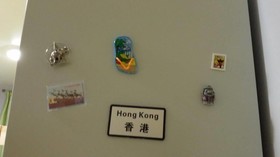 Hostel Green Duck
