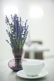 Farfalle Hotel