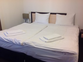 Apart-Hotel Naumov