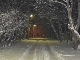 City Hostel