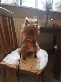 Croissant Bakery and Hotel