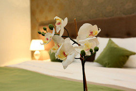 Hotel Eden