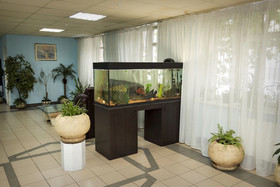 Hotel Globus