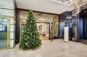 Hotel Palmira Business Club