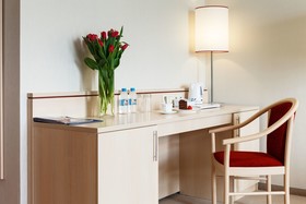 Intourist Hotel Kolomenskoe