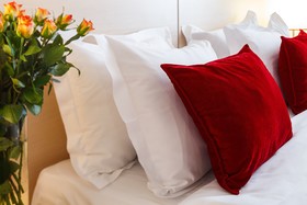 Intourist Hotel Kolomenskoe