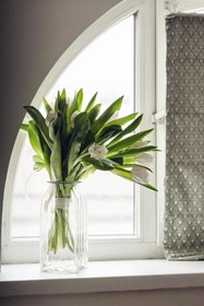 Menshikov Boutique Hotel