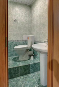 Mini Hotel Brusnika Izmailovskaya