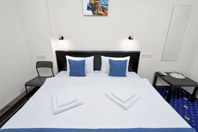 Ros Hotel Izmailovo