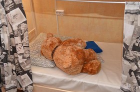 Teddy Hostel
