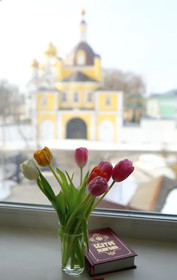 Guest House Nikolin Park