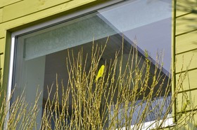 Villas Premium by Skokovo Park