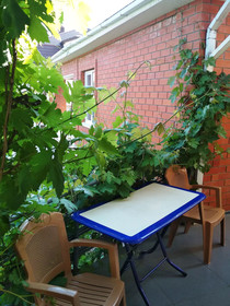 Guest House Galatea