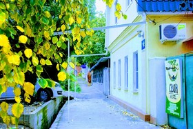 Hostel Svoi