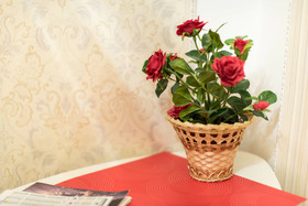 Hostel Svoi