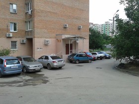 Bely Kot