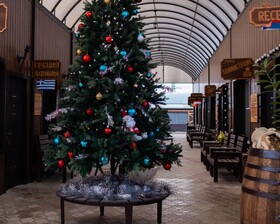 Hotel Piter - Hostel