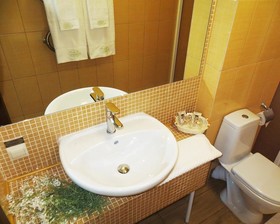Guest House Blizhnie Dubki