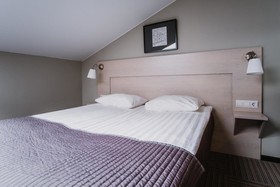Nevsky Hotel Aster