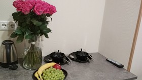 Samsonov Hotel Ligovskiy 48
