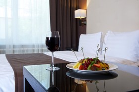 Metelitsa Hotel