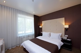 Metelitsa Hotel
